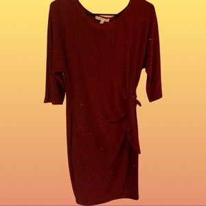 Wine sparkly dress